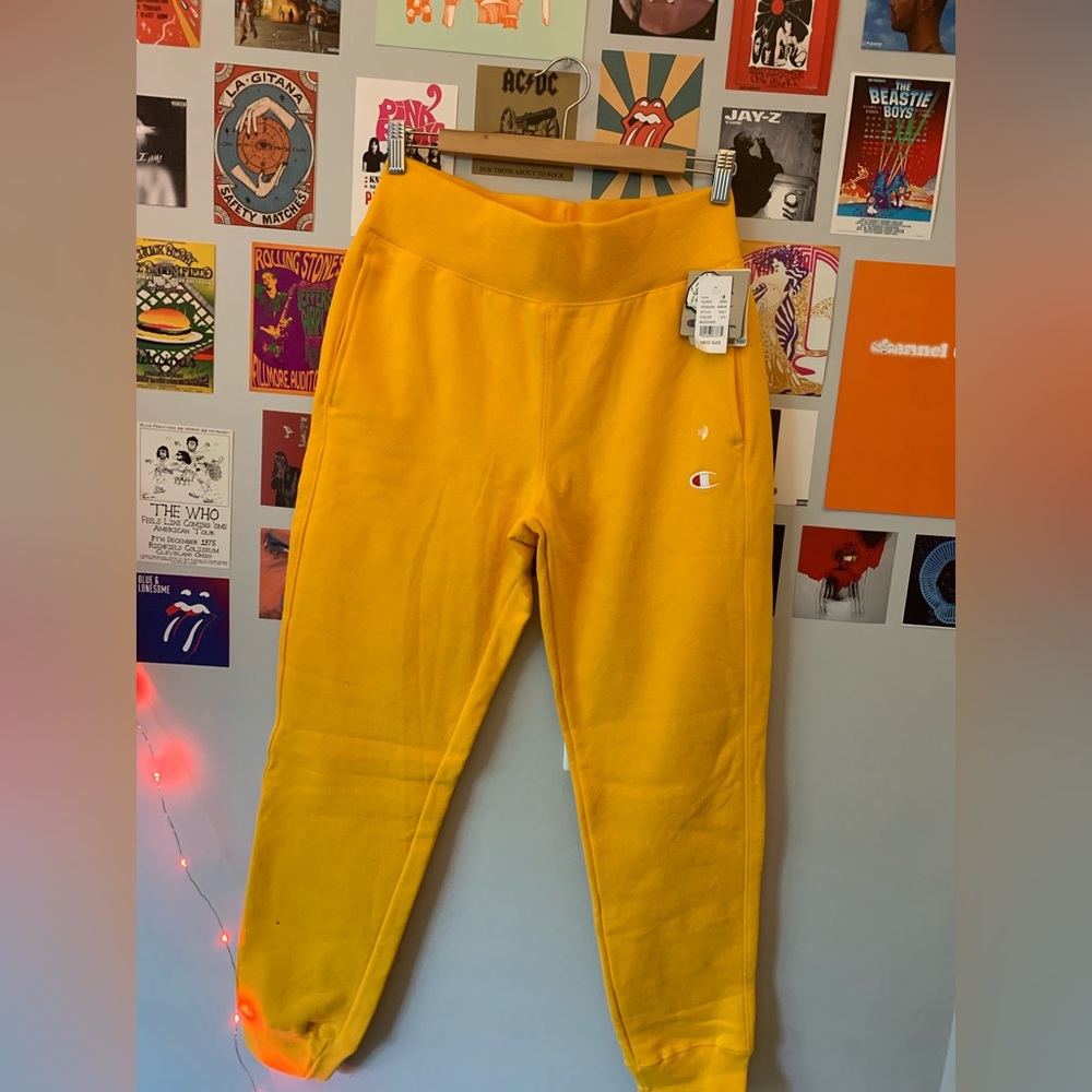 Pacsun Champion sweatpants, Size medium, brand new with tags